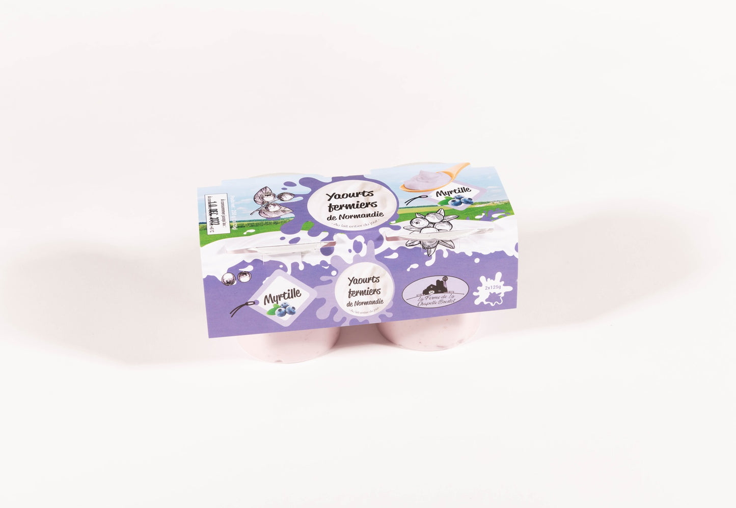 Yaourts brassée à la Myrtille lot de 2